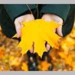 Vremea azi, 16 noiembrie. Unde se vor semnala temperaturi de până la 21 de grade 13 toamna vreme