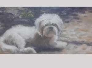 Sursă foto: Facebook Muzeul Golesti.