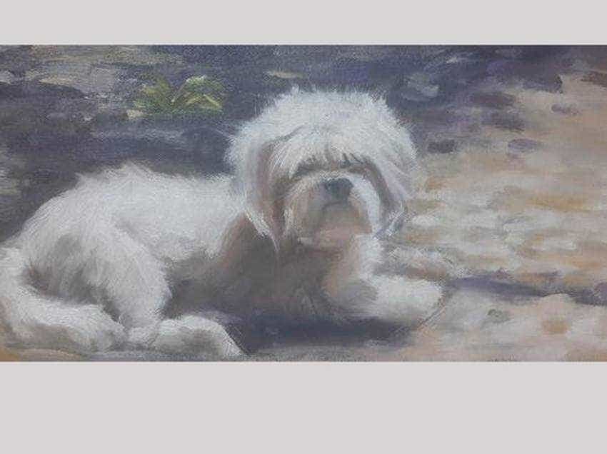 concurs de pictura golesti Sursă foto: Facebook Muzeul Golesti.