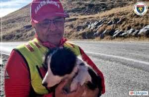 tabara arges salvamont