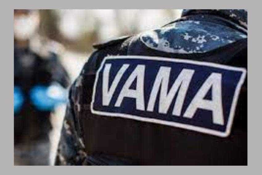 inspectori vama Otopeni