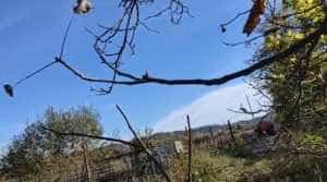 WhatsApp Image 2023 11 01 at 12.16.23 - (VIDEO) Un argeșean a fost surprins de jandarmi în timp ce deversa apa reziduală în râul Argeș!