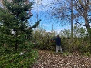 Mioveni spații verzi