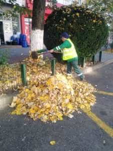 Mioveni spații verzi