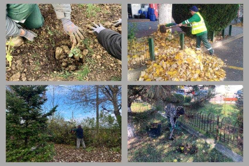 Mioveni spații verzi