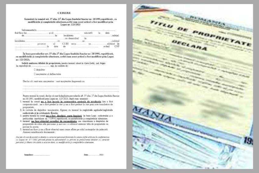 Untitled Project (4)