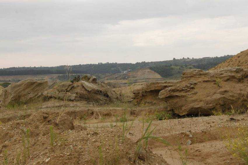 Sursă foto: Facebook Ministerul Agriculturii.