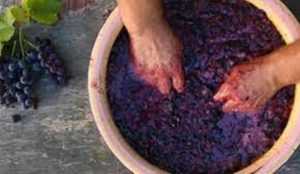 descarcare 1 - Poliţist prins de şef în timp ce făcea vin în curtea Poliţiei