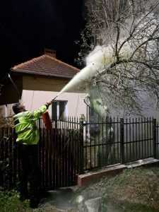 Argeș: Incendiu în apropierea Școlii Făgetu! Un copac a luat foc 1 0e59b4dc 1193 454a a81e d1804655887d - Argeș: Incendiu în apropierea Școlii Făgetu! Un copac a luat foc