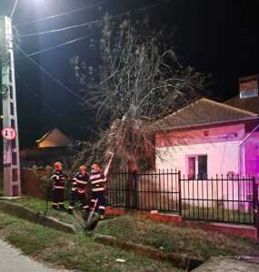 6eeb90bf b9dd 4de4 954b 460812b0fdf5 - Argeș: Incendiu în apropierea Școlii Făgetu! Un copac a luat foc