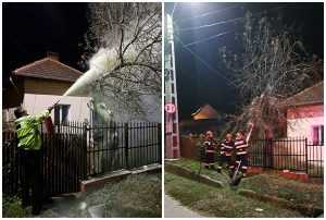 Argeș: Incendiu în apropierea Școlii Făgetu! Un copac a luat foc 1 page 1 - Argeș: Incendiu în apropierea Școlii Făgetu! Un copac a luat foc