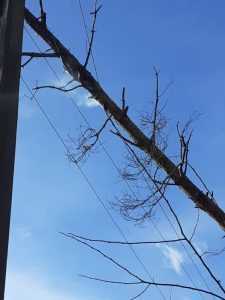 Vântul puternic face ravagii în Argeș! 4 60df07fb 2fa8 4909 bc19 cee2a5d0f345 - Vântul puternic face ravagii în Argeș!