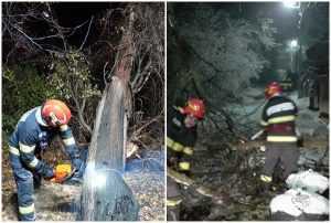 page 2 - Argeș: Atenție, șoferi! Copaci căzuți pe carosabil