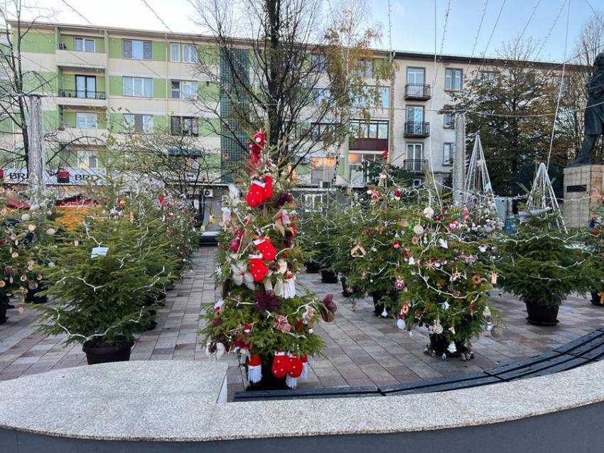 brazi in Piata Primariei - Ultimele pregătiri. Târgul de Crăciun se deschide la Pitești vineri