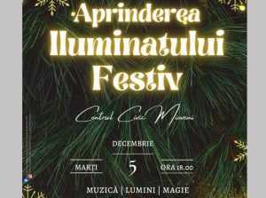 Marți se aprinde iluminatul festiv la Mioveni 1 Sursă foto: Facebook Primăria Orașului Mioveni