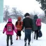 cats - Vacanța de iarnă 2025-2026. Pe ce dată se întorc copiii la școală