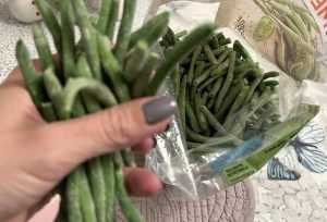  Foto descriptiv. Sursă foto: Facebook Mihaela Bilic.