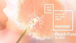 NWNmN2YwNzliYjhhNGVlZmY2OGQ3MDA5Yg.thumb - A fost stabilită culoarea anului 2024: Peach Fuzz