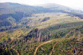 defrisari - Liderul clanului Brânză, Ion Andrei, scapă de pușcărie!