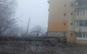 e345ae5c f9cd 44da a1ab 291276138a96 - Copac căzut lângă un bloc din Câmpulung! Intervin pompierii