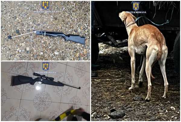 Argeș: Percheziții la persoane bănuite de braconaj 1 page - Argeș: Percheziții la persoane bănuite de braconaj
