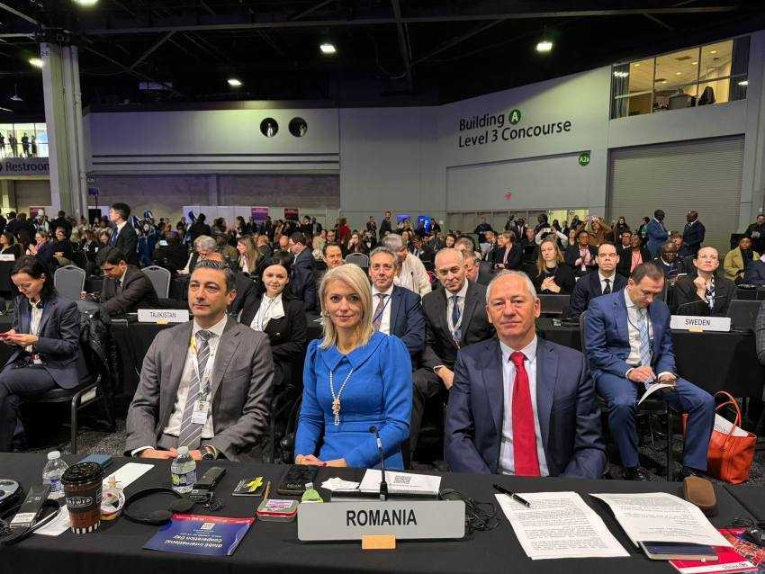Alina Gorghiu la UNCAC
