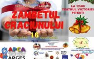 Sursă foto: Asociația Părinților Copiilor cu Autism Argeș