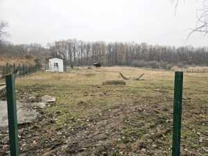 adăpost zimbri zoo