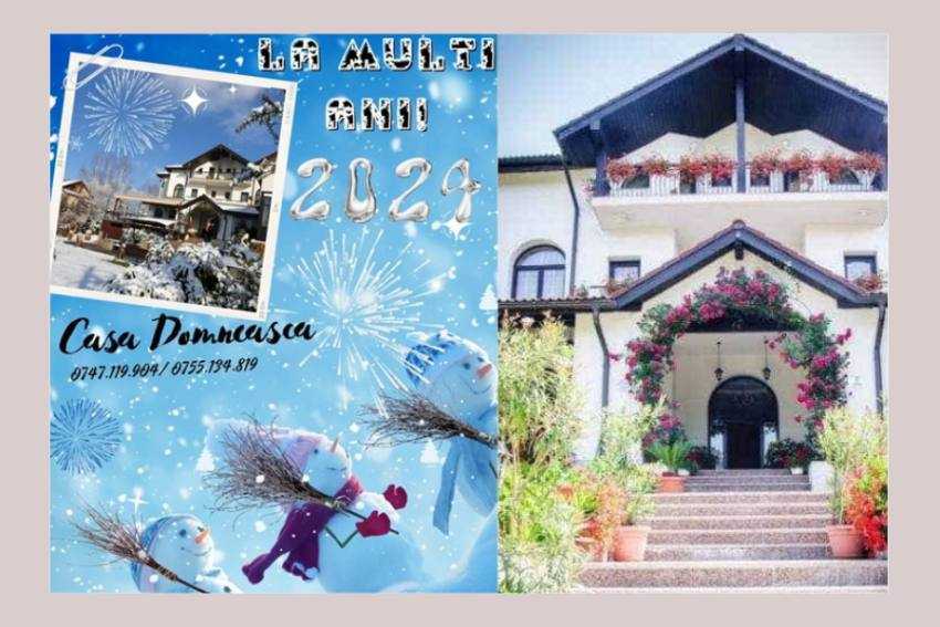 Casa Domneasca Casa Domneasca