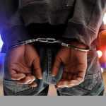 Sursă foto: Facebook Alina Gorghiu.