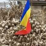 Sursă foto: Facerbook Ministerul Agriculturii