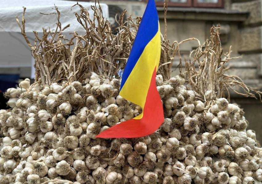 Sursă foto: Facerbook Ministerul Agriculturii