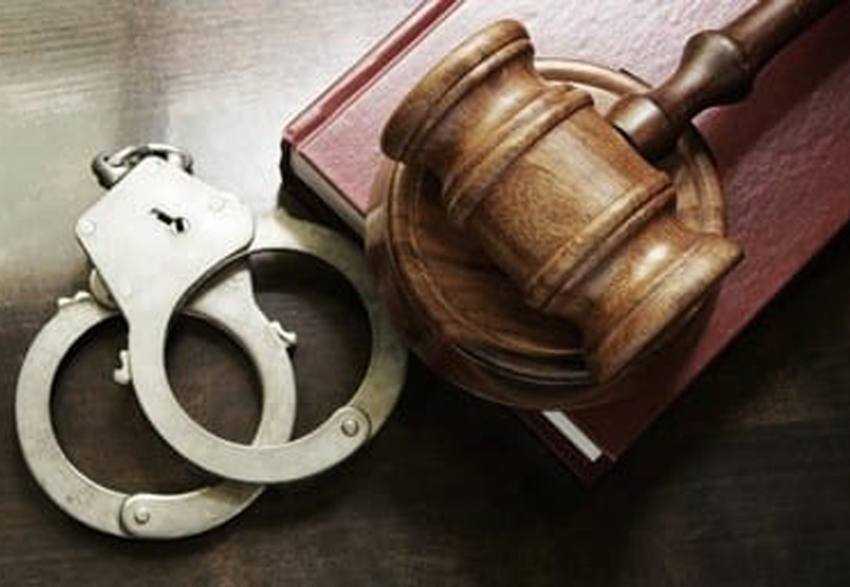 catuse ciocan instanta Sursă foto: Facebook Alina Gorghiu.