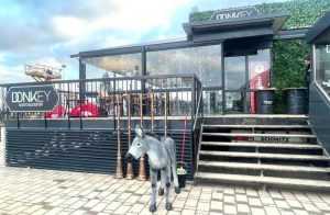 Restaurantul inedit „Donkey”, deschis pentru clienți din luna ianuarie 1 restaurant donkey - Restaurantul inedit „Donkey”, deschis pentru clienți din luna ianuarie