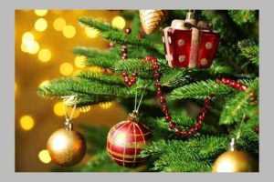 Untitled Project 12 - Primăria Bradu vă urează: „Crăciun fericit!”