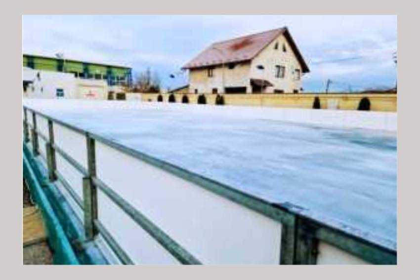 patinoar Bradu