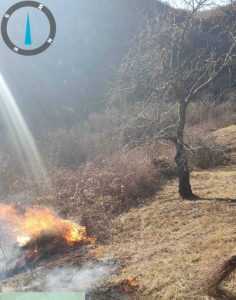 Incendiu de vegetație în Ștefănești 2 WhatsApp Image 2023 12 27 at 15.18.01 - Incendiu de vegetație în Ștefănești