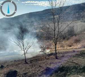 Incendiu de vegetație în Ștefănești 3 WhatsApp Image 2023 12 27 at 15.18.40 - Incendiu de vegetație în Ștefănești