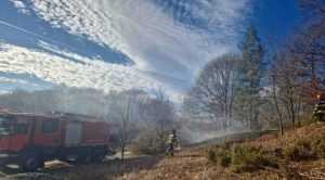 Incendiu de vegetație în Ștefănești 4 WhatsApp Image 2023 12 27 at 15.19.11 - Incendiu de vegetație în Ștefănești