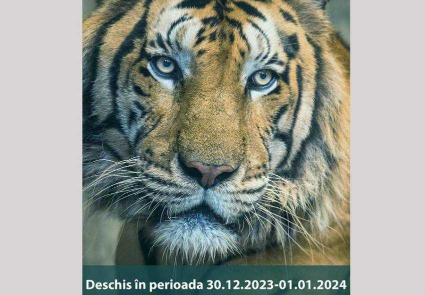 zoo pitesti 1 Sursă foto: Facebook Primăria Municipiului Pitești