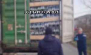 contrabanda țigări