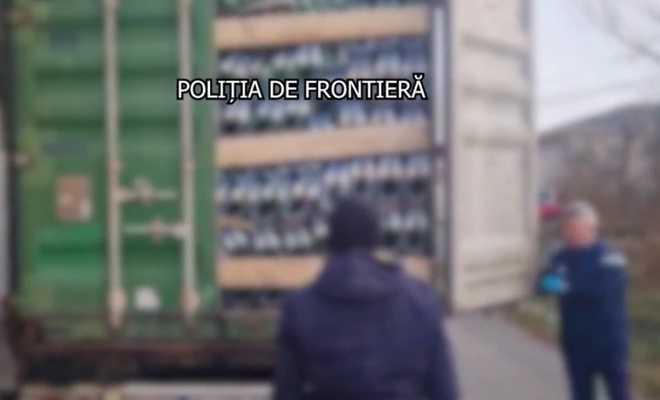 contrabanda țigări