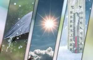 Cum va fi vremea în prima lună de vară 1 cats - Cum va fi vremea în prima lună de vară