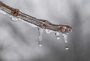 Sursă foto: Facebook Ministerul Mediului.