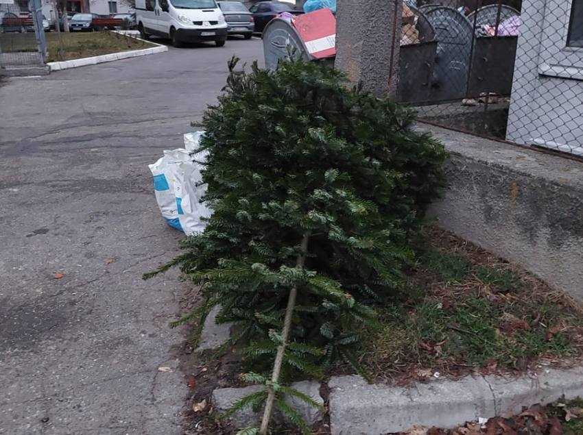 Sursă foto: Facebook Primăria Orașului MIoveni