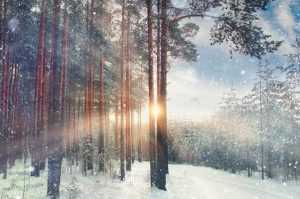 cats - Cum va fi vremea în următoarea perioadă? Anunțul meteorologilor