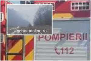 Incendiu de vegetație la Brăileni 5 page - Incendiu de vegetație la Brăileni