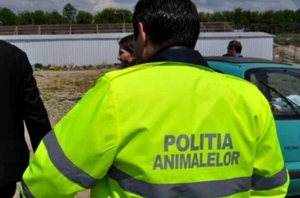 Poliția animalelor