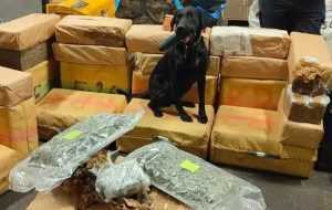 cats 4 - Șofer român de TIR, prins cu droguri în valoare de 13 milioane de euro