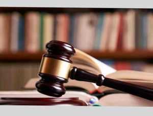 Sursă foto: Facebook Alina Gorghiu